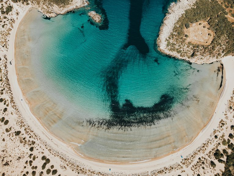 sbi blue registration code